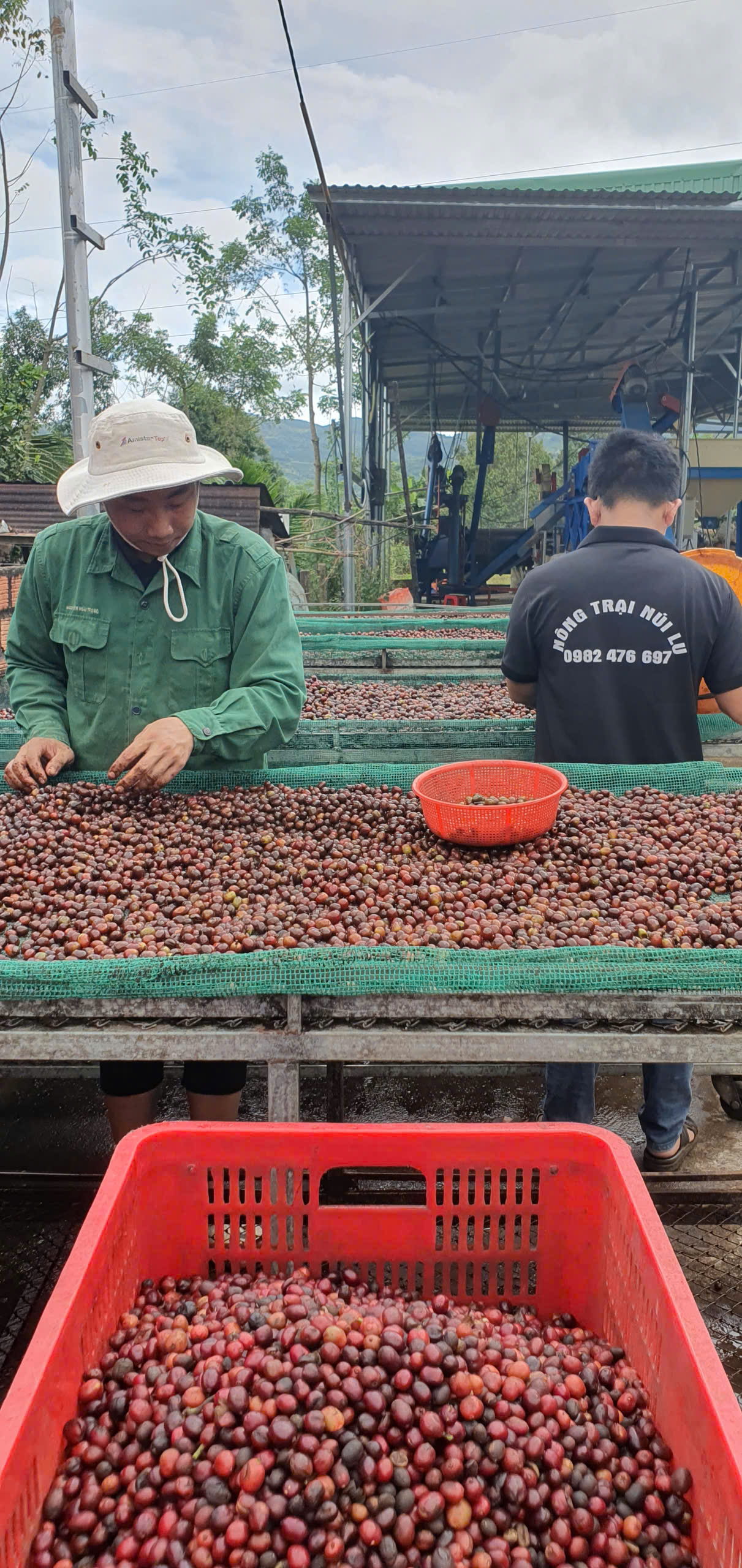 Nông Trại Núi Lu