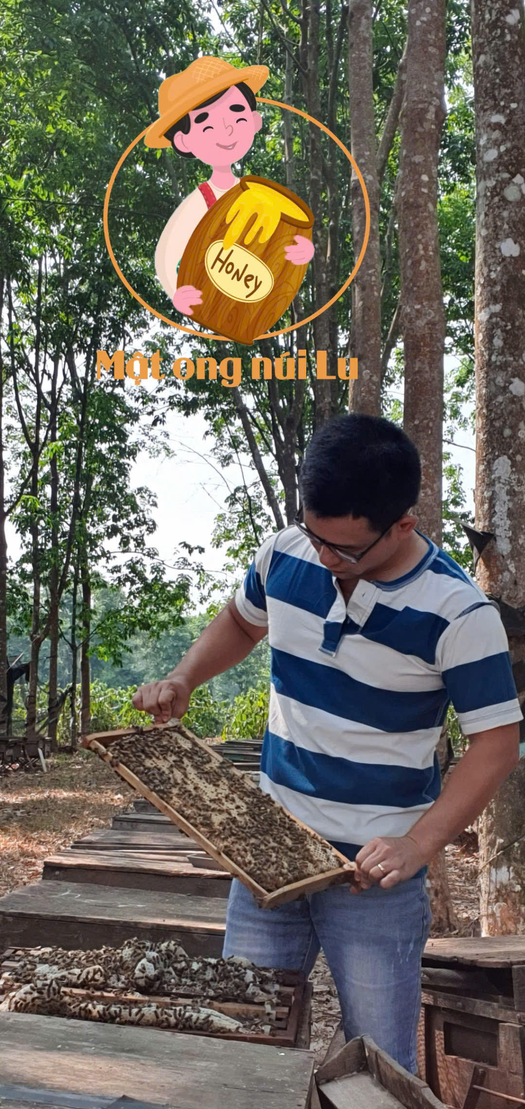 Nông Trại Núi Lu