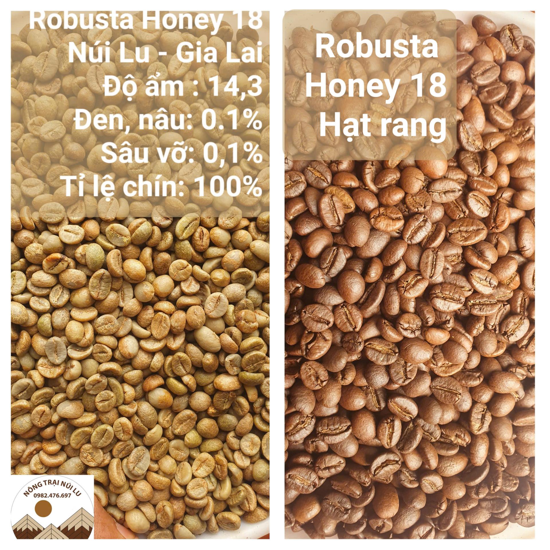 Cà phê Núi Lu rang nguyên hạt 01